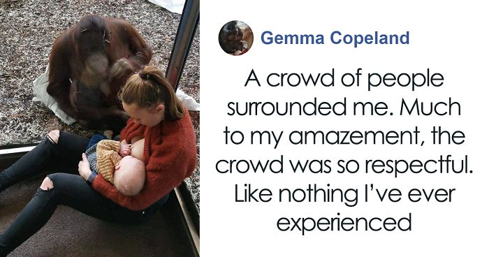 Breastfeeding Mom’s Emotional Encounter With Orangutan At The Oldest Zoo In The World Goes Viral