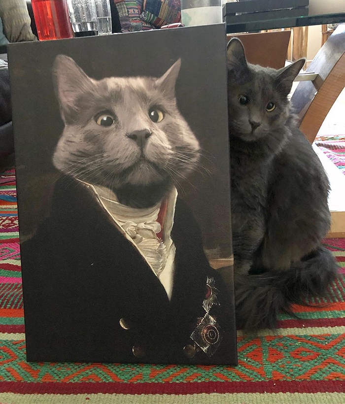 Meet Belarus, An Adorable Cross-Eyed Kitten That's Stealing Everyone's Hearts Meet Belarus, An Adorable Cross-Eyed Kitten That's Stealing Everyone's Hearts