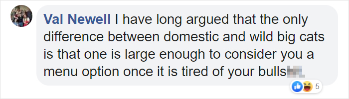 Someone Notices That Panthers Are Just XXXL Sized Black Cats, Compares Them In 16 Photos Someone Notices That Panthers Are Just XXXL Sized Black Cats, Compares Them In 16 Photos