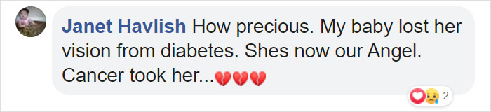 This Adorable Blind And Deaf Dog Comforts Every Foster Pet That His Owner Brings Home And It's Wholesome