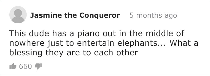 Blind Elephant Starts To Dance Once She Hears The Pianist Playing To Comfort Her