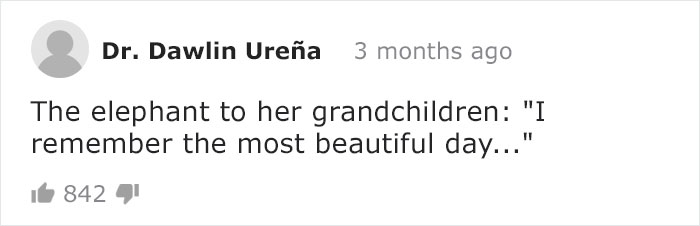 Blind Elephant Starts To Dance Once She Hears The Pianist Playing To Comfort Her