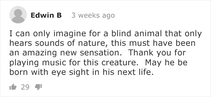 Blind Elephant Starts To Dance Once She Hears The Pianist Playing To Comfort Her