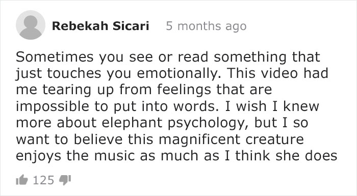 Blind Elephant Starts To Dance Once She Hears The Pianist Playing To Comfort Her