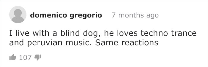 Blind Elephant Starts To Dance Once She Hears The Pianist Playing To Comfort Her Blind Elephant Starts To Dance Once She Hears The Pianist Playing To Comfort Her