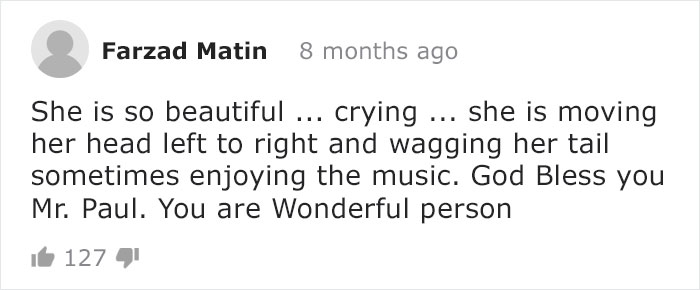 Blind Elephant Starts To Dance Once She Hears The Pianist Playing To Comfort Her