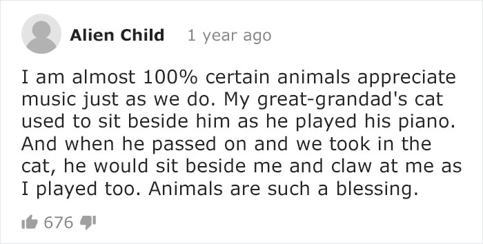 Blind Elephant Starts To Dance Once She Hears The Pianist Playing To Comfort Her