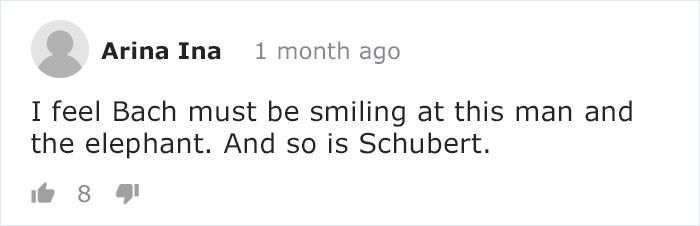 Blind Elephant Starts To Dance Once She Hears The Pianist Playing To Comfort Her