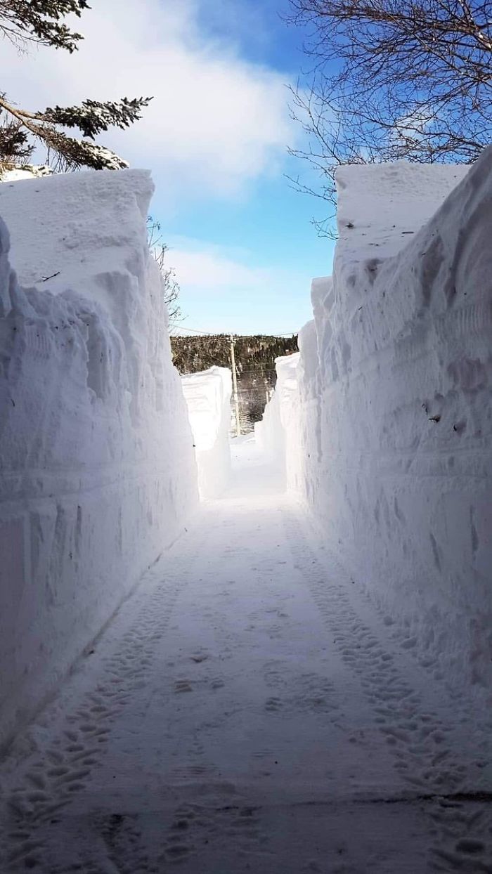 24 Hours In 30 Seconds: Timelapse Video Shows Snow Almost Reaching The Roof During A Blizzard In Canada 24 Hours In 30 Seconds: Timelapse Video Shows Snow Almost Reaching The Roof During A Blizzard In Canada