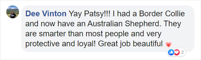 Dog Saves Flock Of Sheep From Australia&rsquo;s Raging Bushfires