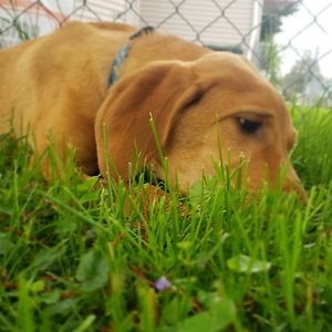 vanessarobinson avatar