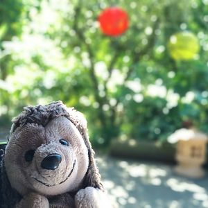 ame-kirschbaum avatar