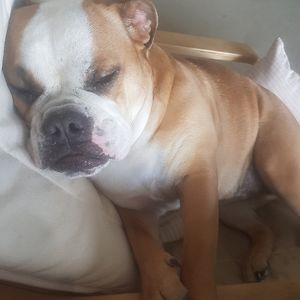 sian_gaskell01 avatar