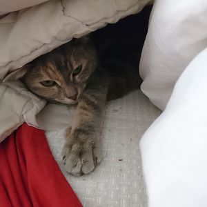 franziska-birk avatar