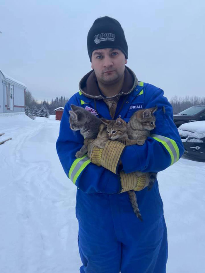 This Man Used His Warm Coffee To Rescue 3 Kittens That Were Frozen To The Ground For Hours
