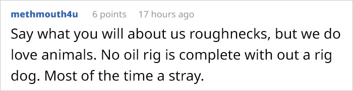 This Man Used His Warm Coffee To Rescue 3 Kittens That Were Frozen To The Ground For Hours