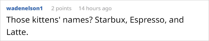 This Man Used His Warm Coffee To Rescue 3 Kittens That Were Frozen To The Ground For Hours This Man Used His Warm Coffee To Rescue 3 Kittens That Were Frozen To The Ground For Hours