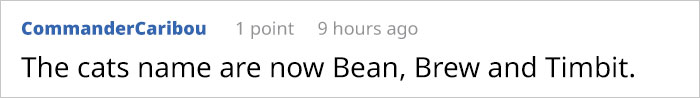 This Man Used His Warm Coffee To Rescue 3 Kittens That Were Frozen To The Ground For Hours This Man Used His Warm Coffee To Rescue 3 Kittens That Were Frozen To The Ground For Hours