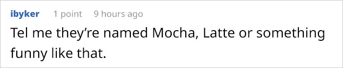 This Man Used His Warm Coffee To Rescue 3 Kittens That Were Frozen To The Ground For Hours This Man Used His Warm Coffee To Rescue 3 Kittens That Were Frozen To The Ground For Hours