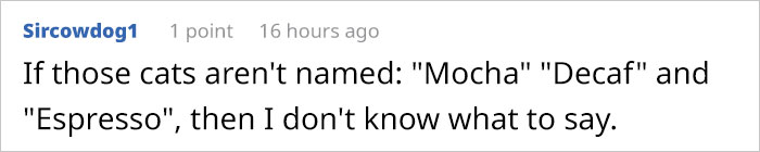 This Man Used His Warm Coffee To Rescue 3 Kittens That Were Frozen To The Ground For Hours