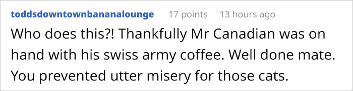 This Man Used His Warm Coffee To Rescue 3 Kittens That Were Frozen To The Ground For Hours