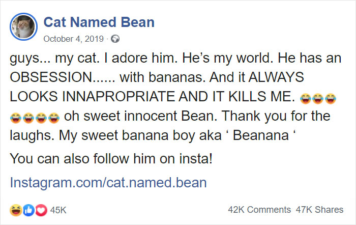 Cat Obsessed With Bananas Is Going Viral For How Inappropriate His Pics Look Cat Obsessed With Bananas Is Going Viral For How Inappropriate His Pics Look