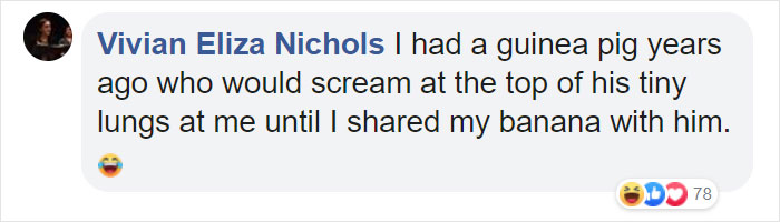 Cat Obsessed With Bananas Is Going Viral For How Inappropriate His Pics Look