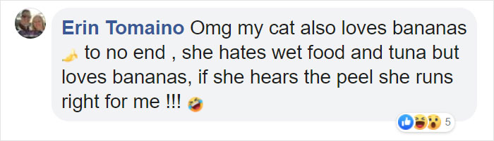 Cat Obsessed With Bananas Is Going Viral For How Inappropriate His Pics Look Cat Obsessed With Bananas Is Going Viral For How Inappropriate His Pics Look