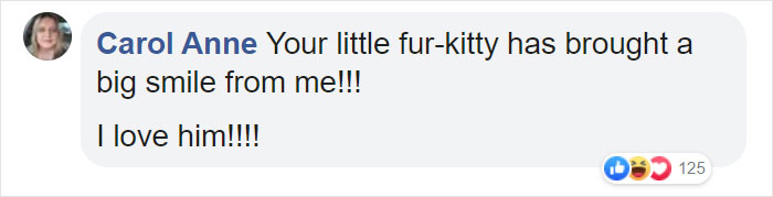 Cat Obsessed With Bananas Is Going Viral For How Inappropriate His Pics Look