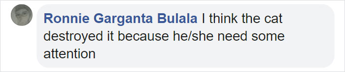 Cat Destroys A 2,432-Piece Doraemon Figure That Took Its Owner 7 Days To Make, Doesn't Seem To Regret It