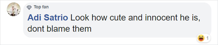 Cat Destroys A 2,432-Piece Doraemon Figure That Took Its Owner 7 Days To Make, Doesn't Seem To Regret It