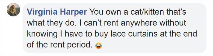 Cat Destroys A 2,432-Piece Doraemon Figure That Took Its Owner 7 Days To Make, Doesn't Seem To Regret It Cat Destroys A 2,432-Piece Doraemon Figure That Took Its Owner 7 Days To Make, Doesn't Seem To Regret It