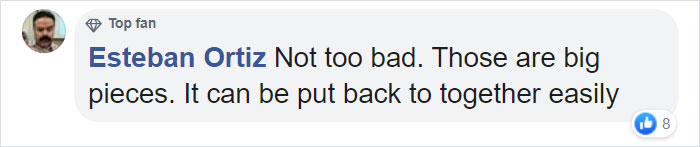 Cat Destroys A 2,432-Piece Doraemon Figure That Took Its Owner 7 Days To Make, Doesn't Seem To Regret It