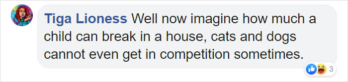 Cat Destroys A 2,432-Piece Doraemon Figure That Took Its Owner 7 Days To Make, Doesn't Seem To Regret It