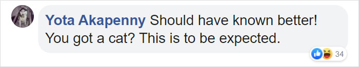 Cat Destroys A 2,432-Piece Doraemon Figure That Took Its Owner 7 Days To Make, Doesn't Seem To Regret It Cat Destroys A 2,432-Piece Doraemon Figure That Took Its Owner 7 Days To Make, Doesn't Seem To Regret It