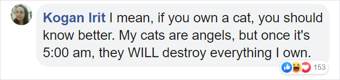 Cat Destroys A 2,432-Piece Doraemon Figure That Took Its Owner 7 Days To Make, Doesn't Seem To Regret It Cat Destroys A 2,432-Piece Doraemon Figure That Took Its Owner 7 Days To Make, Doesn't Seem To Regret It