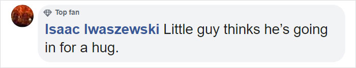 Cat Destroys A 2,432-Piece Doraemon Figure That Took Its Owner 7 Days To Make, Doesn't Seem To Regret It Cat Destroys A 2,432-Piece Doraemon Figure That Took Its Owner 7 Days To Make, Doesn't Seem To Regret It