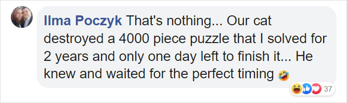 Cat Destroys A 2,432-Piece Doraemon Figure That Took Its Owner 7 Days To Make, Doesn't Seem To Regret It Cat Destroys A 2,432-Piece Doraemon Figure That Took Its Owner 7 Days To Make, Doesn't Seem To Regret It