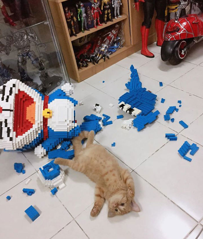 Cat Destroys A 2,432-Piece Doraemon Figure That Took Its Owner 7 Days To Make, Doesn't Seem To Regret It Cat Destroys A 2,432-Piece Doraemon Figure That Took Its Owner 7 Days To Make, Doesn't Seem To Regret It