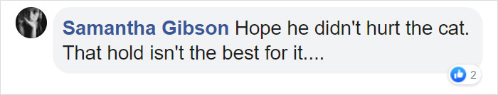 Cat Destroys A 2,432-Piece Doraemon Figure That Took Its Owner 7 Days To Make, Doesn't Seem To Regret It Cat Destroys A 2,432-Piece Doraemon Figure That Took Its Owner 7 Days To Make, Doesn't Seem To Regret It