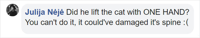 Cat Destroys A 2,432-Piece Doraemon Figure That Took Its Owner 7 Days To Make, Doesn't Seem To Regret It Cat Destroys A 2,432-Piece Doraemon Figure That Took Its Owner 7 Days To Make, Doesn't Seem To Regret It
