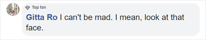 Cat Destroys A 2,432-Piece Doraemon Figure That Took Its Owner 7 Days To Make, Doesn't Seem To Regret It