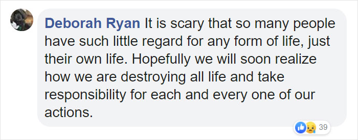 The Same Artist Who Made People Cry With Her 'Good Boy' And 'Black Cat' Comics Just Released A New One With Albatross