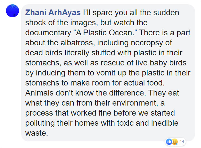 The Same Artist Who Made People Cry With Her 'Good Boy' And 'Black Cat' Comics Just Released A New One With Albatross