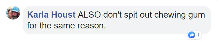 The Same Artist Who Made People Cry With Her 'Good Boy' And 'Black Cat' Comics Just Released A New One With Albatross The Same Artist Who Made People Cry With Her 'Good Boy' And 'Black Cat' Comics Just Released A New One With Albatross