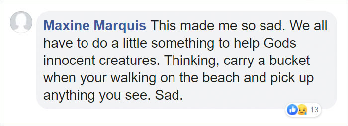 The Same Artist Who Made People Cry With Her 'Good Boy' And 'Black Cat' Comics Just Released A New One With Albatross