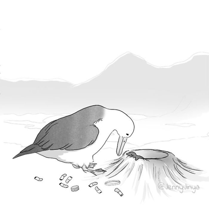 The Same Artist Who Made People Cry With Her 'Good Boy' And 'Black Cat' Comics Just Released A New One With Albatross The Same Artist Who Made People Cry With Her 'Good Boy' And 'Black Cat' Comics Just Released A New One With Albatross