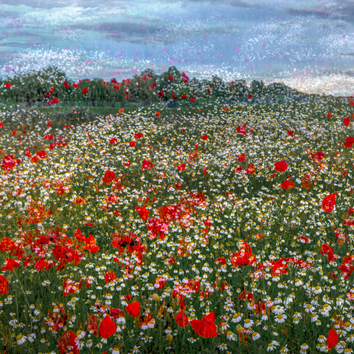 I Capture Layers Of Time In Nature