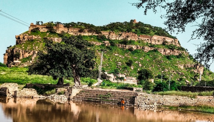 I Take Pictures Of Nature On My Mobile Phone