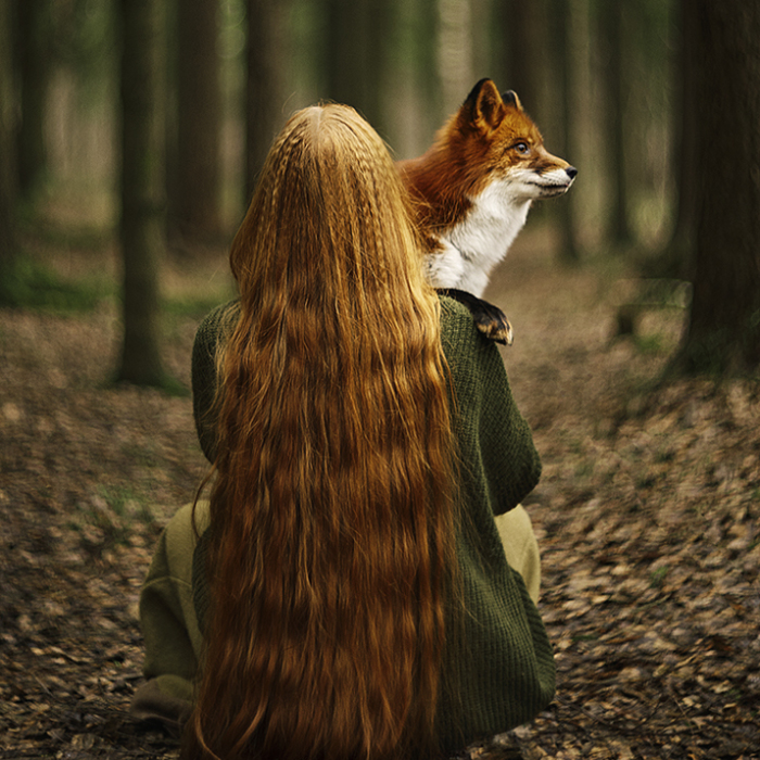 Follow Me To The Forest